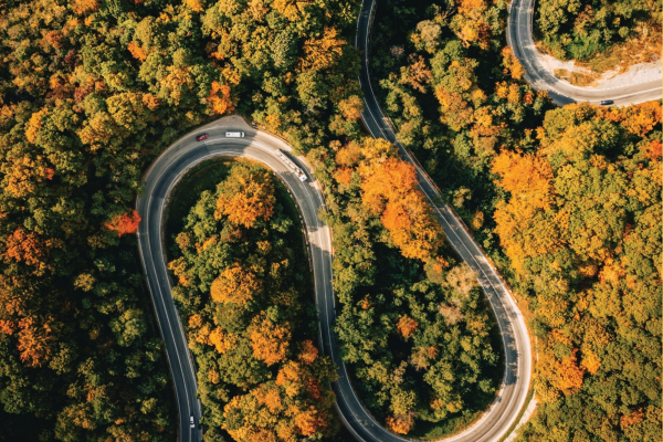 Aerial view of a winding highway through a forest